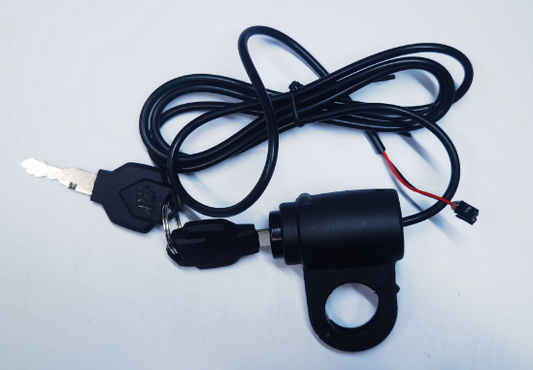 Electronic Throttle Lock