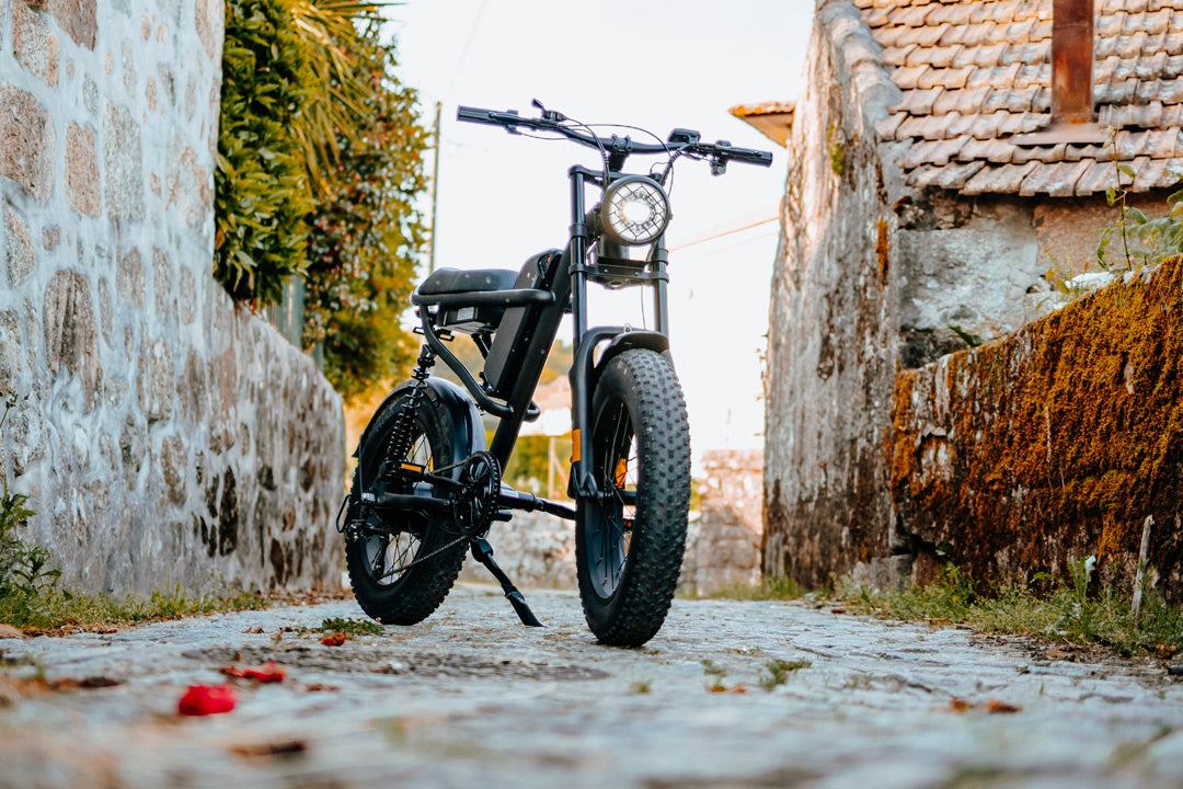 Z8 Electric Bike