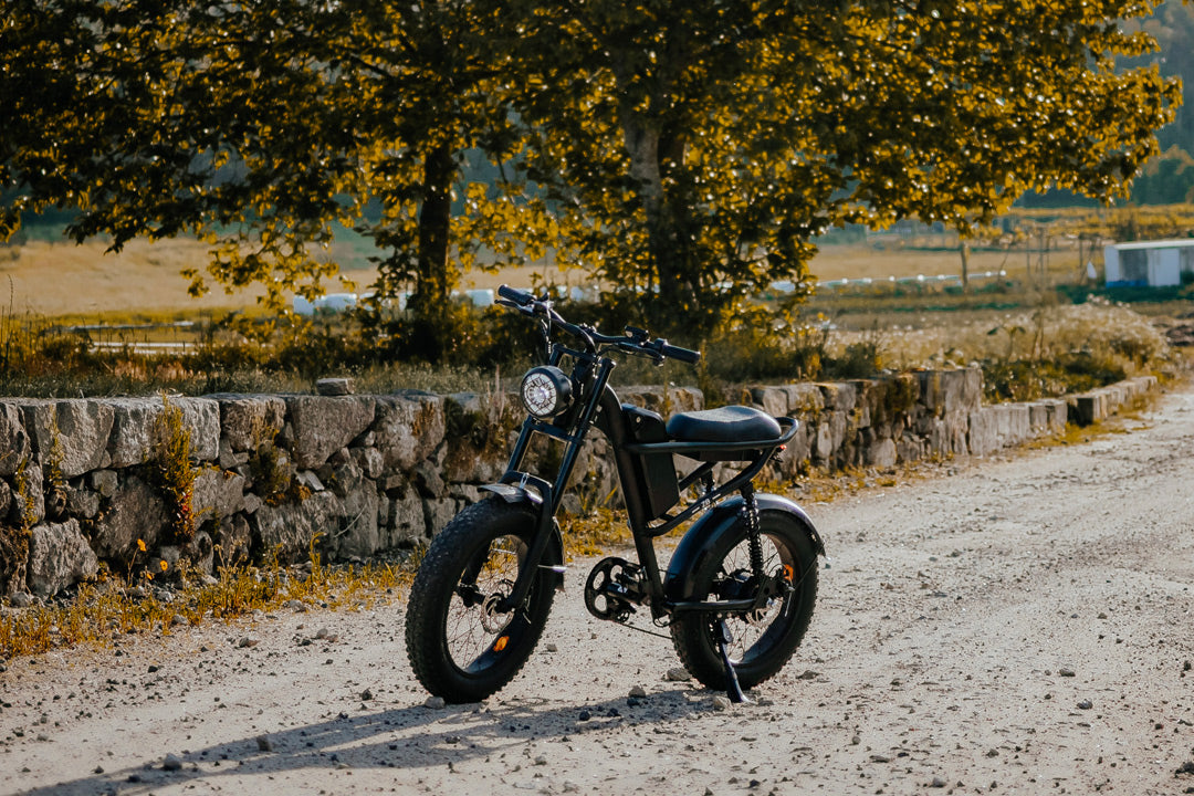 Z8 Electric Bike
