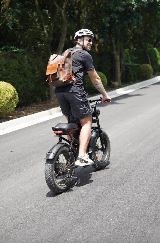 Riding Times Z8 eBike