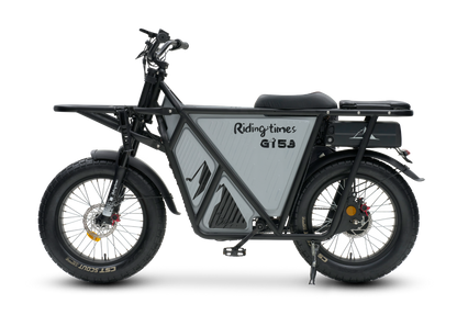 GT53 Cargo eBike