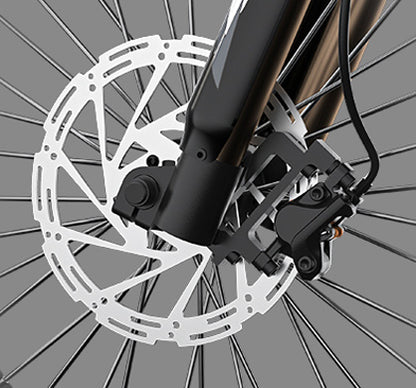 Disc Brake Rotor