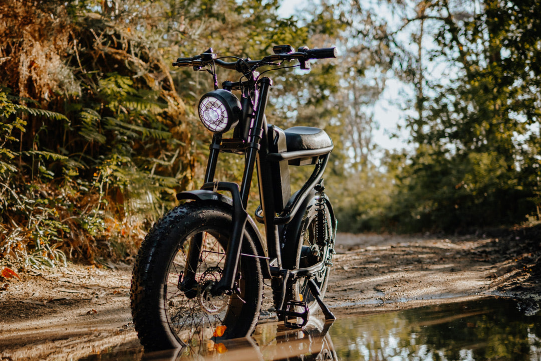 Z8 Electric Bike